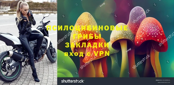 стаф Баксан