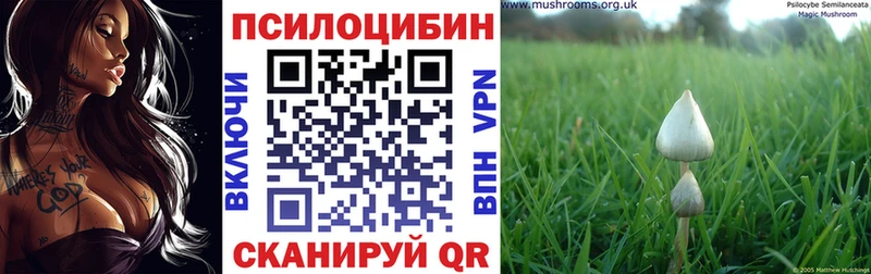 наркота  Вяземский  Псилоцибиновые грибы мухоморы 
